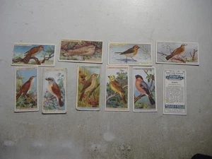 Wills cigarette cards British Birds (7609) 10 off variable condition - Picture 1 of 1
