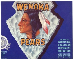 Original seltene WENOKA Half Box Birnenkiste Etikett Pfeilspitze Wenatchee Washington - Bild 1 von 1