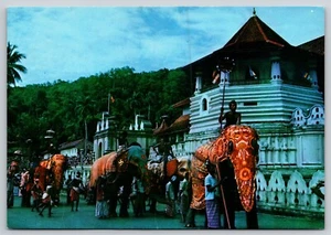 Postal Elefantes en Perahera Kandy Sri Lanka Ceilán Festival del Diente - Imagen 1 de 2