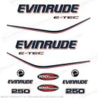 Fits Evinrude 250ps E-Tec 100th Anniversary Aussenborder - 2010   Stickers - EUR 102.15