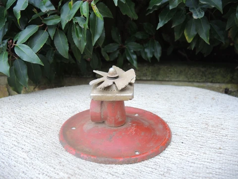 Vintage Garden Sprinkler with Flower Top  (1135) Cover