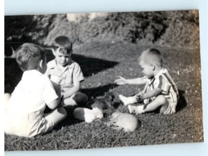 Vintage Photo 1940s, 3 Boys playing on lawn w/ Puppy , 3.5 x 2.5 - Picture 1 of 2