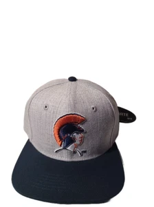 Virginia State College Football Snapback Cap VSU Football Team Ballcap NCAA - Picture 1 of 7