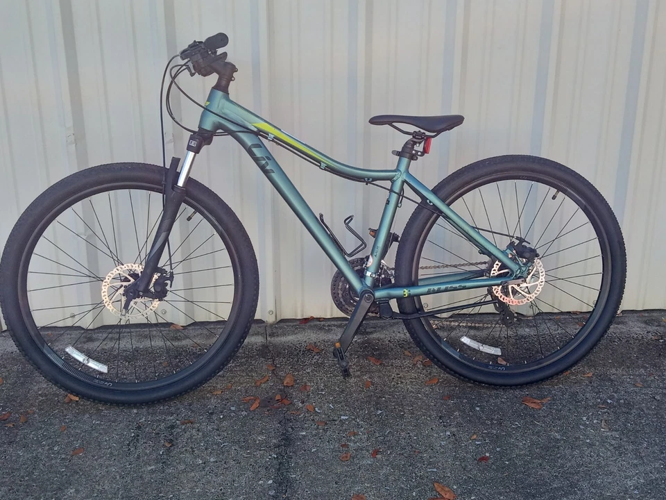 Bicicleta Liv Bliss para mujer Foto 1 de 1