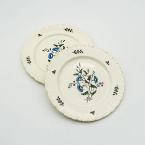 Wedgwood LOT (2) Williamsburg Restoration Wild Flowers Salad Plate 8" Shell Edge - Picture 1 of 7