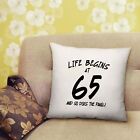 65th Birthday Cushion Life Begins at 65 Does the Panic Bedroom Lounge-40cmx40cm