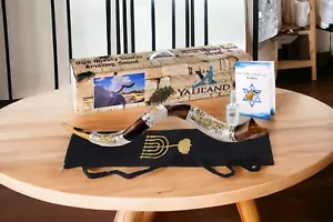Shofar Yemenita Kudu Corno con Menorah Placcata Argento Sterling Gerusalemme + Borsa - Foto 1 di 21
