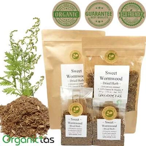 Artemisia Annua Tea 100g Cut Organic Natural Growing from Bulgaria Best Quality - Picture 1 of 12