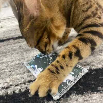 4cats Space Collection Cuddly Cushion Cat Toy With Catnip & Silvervine or Val... - Image 1 of 4