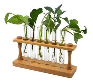 hBARSCI Premium Plant Propagation Station with Hardwood Stand & 6 Test Tubes - Picture 1 of 2