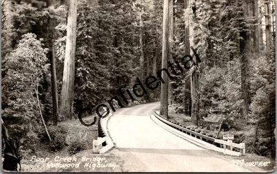 Real Photo Bear Creek Bridge Redwood Highway Roadside Trees Cart-Ray RPPC U228 - Image 1 of 2