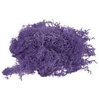 1.8 OZ Fake Moss Preserved Reindeer Moss Artificial Moss Lichen Purple