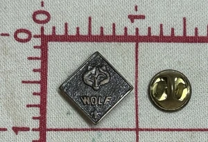Wolf Cubs Boy Scouts BSA B.S.A. Prendedor de premio insignia emblema insignia rango scouting - Imagen 1 de 2