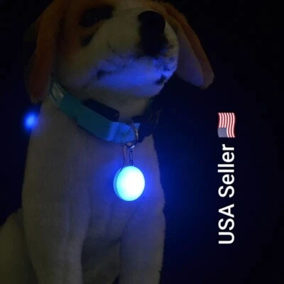 1 pieza Collar para Mascotas Colgante LED Collar para Perros Luz Nocturna Colgante Seguridad Luminoso Foto 1 de 4