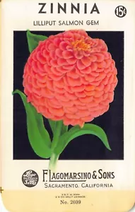 Paquete de semillas vintage: Zinnia, Lagomarsino & Sons, Sacramento, años 40 - Imagen 1 de 2