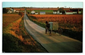 Amish Buggy in Witmer Pennsylvania in Autumn Postcard - Picture 1 of 2