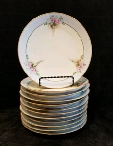 RARE Thomas Bavaria Set Of 12 Salad/Dessert Light Blue Plates With Rose Designs - Picture 1 of 12