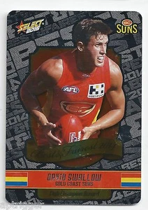 2015 Select Champions Best & Fairest (BF8) David SWALLOW Gold Coast - Picture 1 of 1