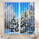 Snowflake Carrying Sky 3D Curtain Blockout Photo Printing Curtains Drape Fabric