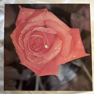 RARE 7" POLISH NM FLEXI OLIVIA NEWTON-JOHN & CLIFF RICHARD SUDDENLY TONPRESS - Picture 1 of 4