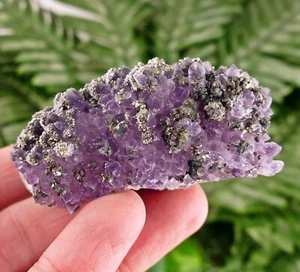 Amethyst Druse mit Pyrit auf Andesit aus der berühmten Chala-Mine, Bulgarien - Bild 1 von 4