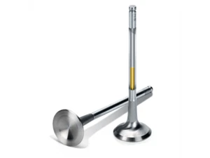 Supertech Mini Cooper N14B16 / N18B16 Válvula de escape Inconel llena de sodio - Juego - Imagen 1 de 1