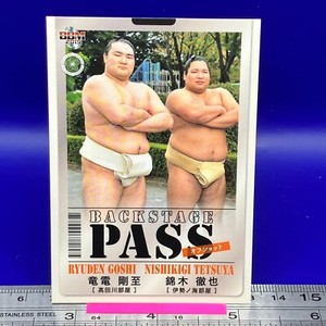 Ryuden Goshi Nishikigi Tetsuya 89 Sumo Wrestler Card BBM 2019 TCG Japanese #406a