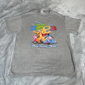 Vintage Disney Florida Characters T Shirt Mens Large Pooh Tigger Gray 2003 Y2K - Picture 1 of 6
