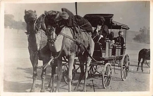 Pakistan - Camel carriage - REAL PHOTO - Publ. unknown - Picture 1 of 2