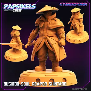 Bushido Soul Reaper Shintaro | Papsikels | | RPG D&D Wargaming 3D Printed Mini - Picture 1 of 1