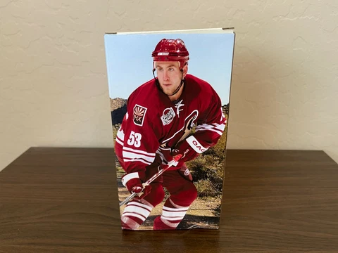 Arizona Coyotes Derek Morris NHL HOCKEY VINTAGE PHOENIX 2007 SGA Bobblehead! Cover