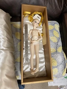 DOLLMORE MODEL DOLL - - Picture 1 of 5