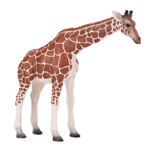 Mojo GIRAFFE FEMALE African wild animal model figure toys plastic forest jungle - Picture 1 of 6