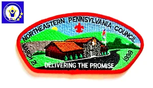 Northeastern PA Council March 1998 Delivering The Promise Red Thread BSA Patch - Picture 1 of 2