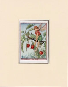 CHERRY TREE FAIRY Original Vintage 1940's Cecily Mary Barker Print Ready Mounted - Picture 1 of 1