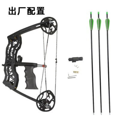 40lbs Laser Sight Mini Fishing Compound Bow ARROW Set Hunting Archery - Image 1 of 4