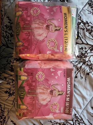  女式 M 8 10 + L 12/14 Wicked Glenda the Good Witch 服装粉色连衣裙 — 第 1/3 张图片