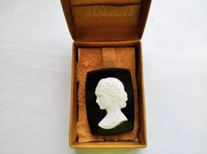Antique Brooch Cameo Box USSR Bijouterie badges Rare Jewelry Female Decoration  - Picture 1 of 6
