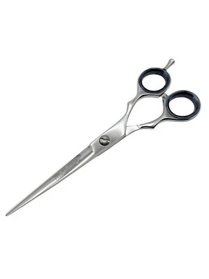 Profi Friseurschere Haarschneidescheren Haarschere Edelstahl Scharf 6 Zoll - Bild 1 von 4