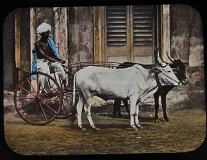 HAND COLOURED Glass Magic Lantern Slide MADRAS A RECKLA C1890 PHOTO INDIA - Picture 1 of 2