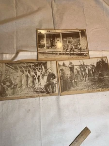 Antique Hunting Party Photo Lot Of 3 Deer, Bear , Trout 8”x4 3/4” Photos - Picture 1 of 19