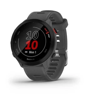 Garmin Forerunner 55, GPS, EU, Monterra Grey - Photo 1/7