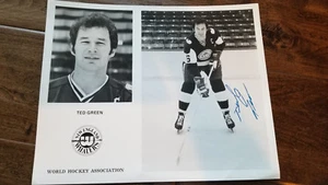 1973-74 NEW ENGLAND WHALERS WHA SIGNED AUTO 8X10 TEAM ISSUE PHOTO CARD TED GREEN - Picture 1 of 1