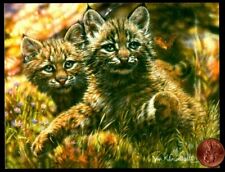 Adorable bébé lynx chatons herbe - petite carte de vœux vierge NEUF