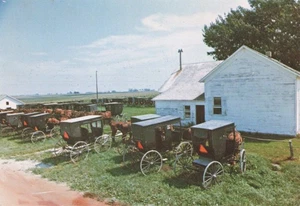 Iowa Amish Sunday School - Pferdewagen - Kalona, IA - John Zielinski - Bild 1 von 2