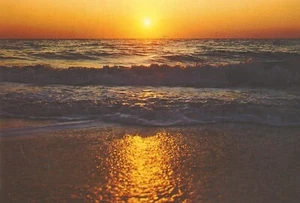 Florida Sunset, 23 Feb 1985 Postal Color (SELLOS, FRANQUEO, COLECCIONABLE) - Imagen 1 de 2