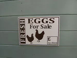 new design 2015 rigid a4 fresh eggs for sale sign eglu/coop ideal free p&p - Picture 1 of 1