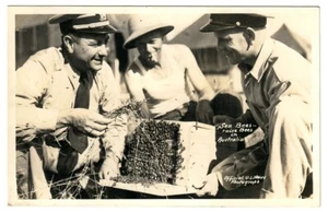 Foto postal real de la Segunda Guerra Mundial Marina de los Estados Unidos Seabees Sea Bees Raise Bees Australia RPPC - Imagen 1 de 2