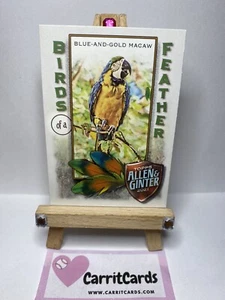 BLUE-AND-GOLD MACAW 2021 Allen & Ginter Birds of a Feather #BOF-4 - Picture 1 of 6