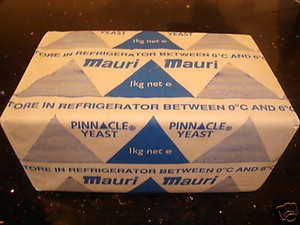 PROFESSIONAL FRESH BAKERS YEAST 100g with FREE RECIPE 